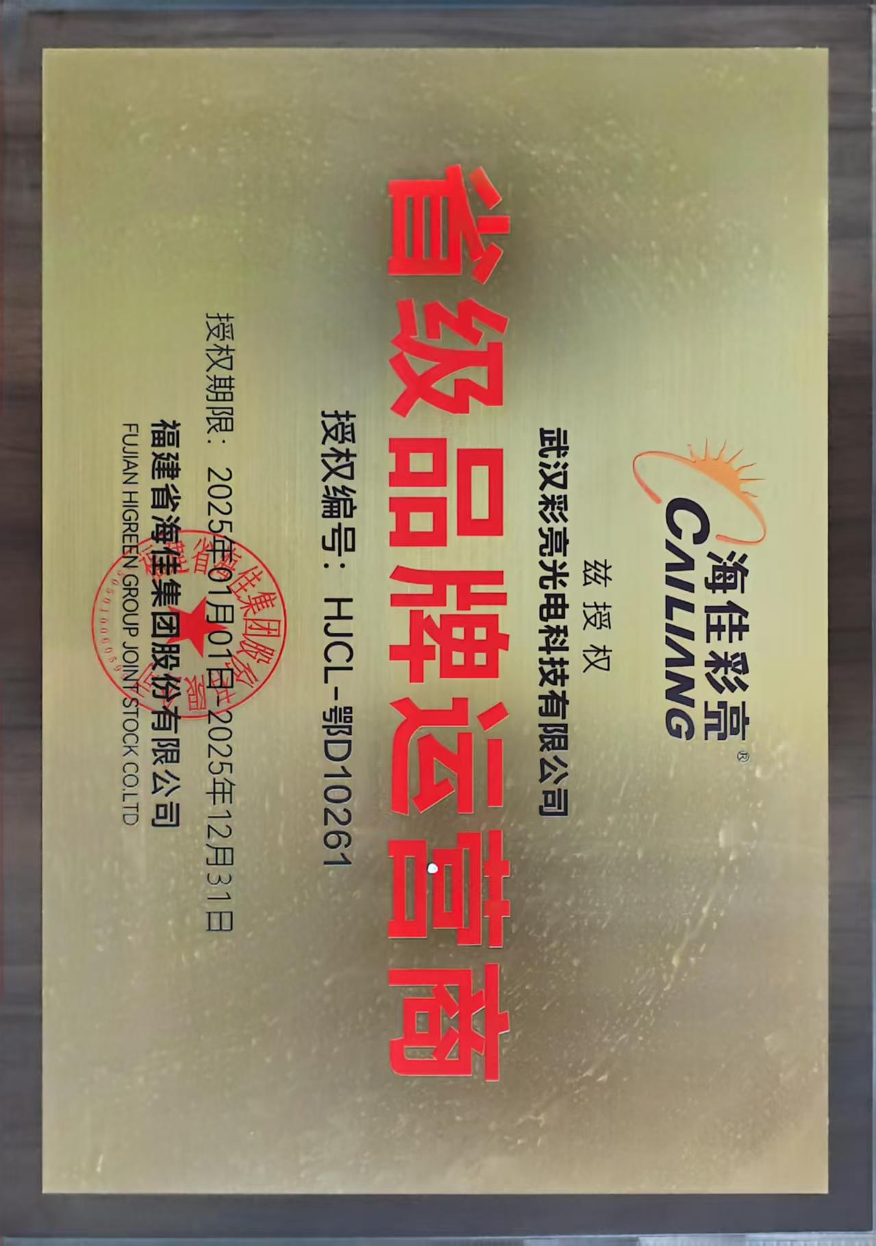 武汉彩亮光电科技有限公司作为海佳彩亮湖北省级经销商总代：强强联合，共拓显示市场新格局